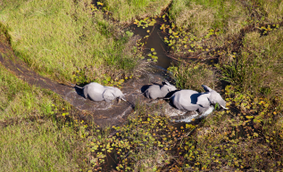 drone-conservation-inspection
